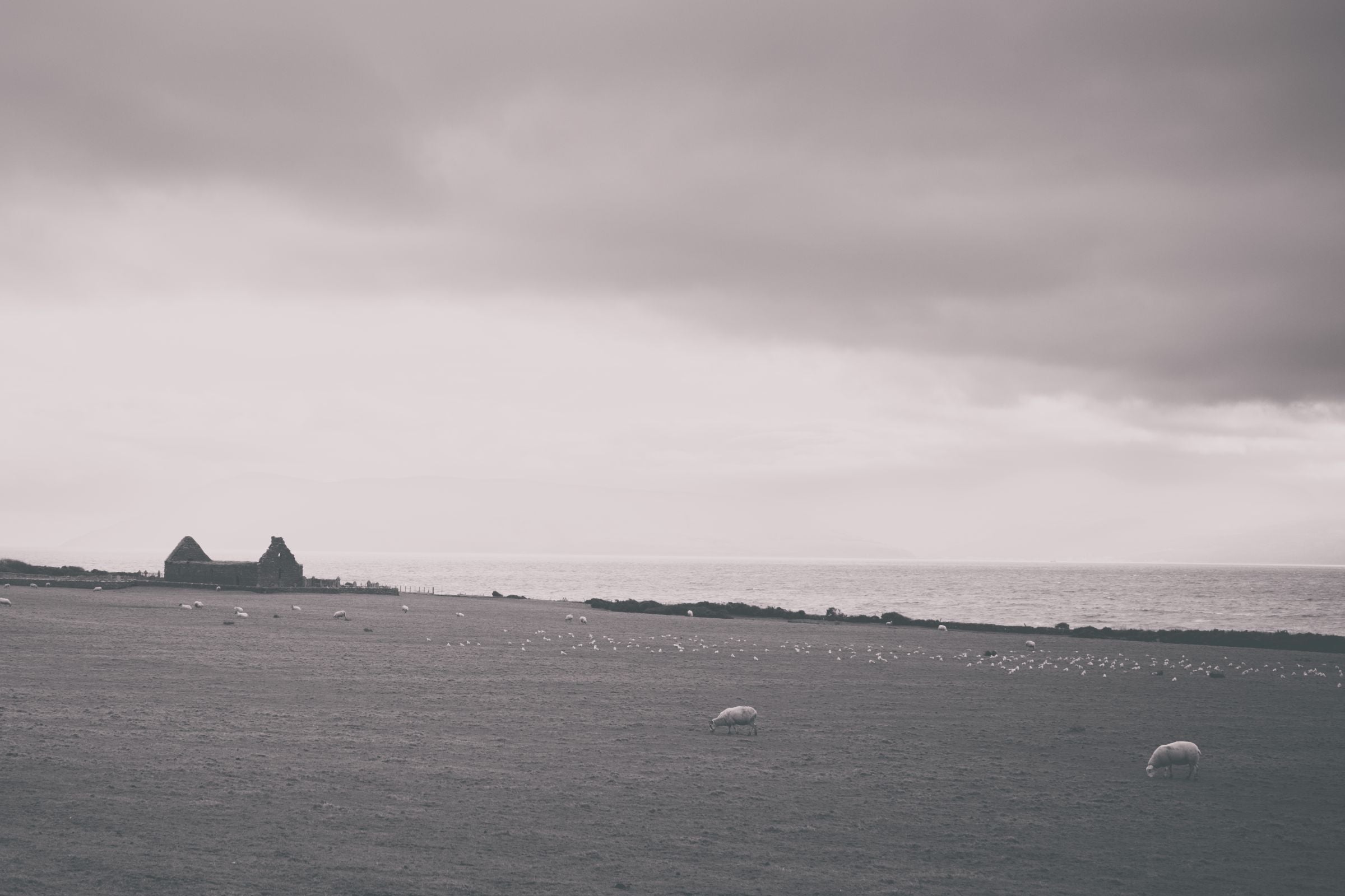 Looking to Kilbrannan Chapel
