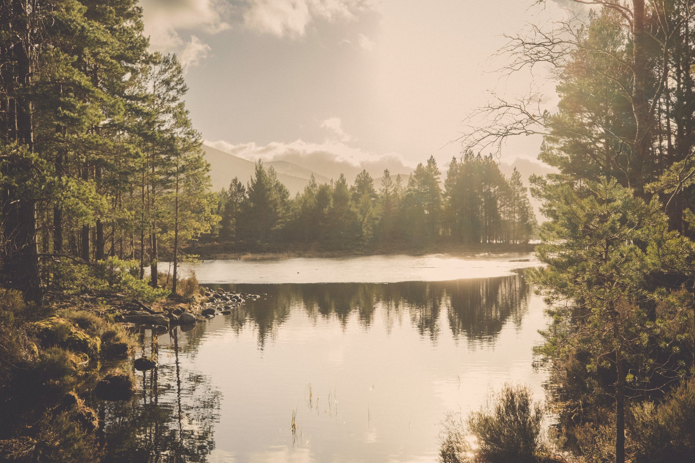 Winter Light on Loch an Eilein