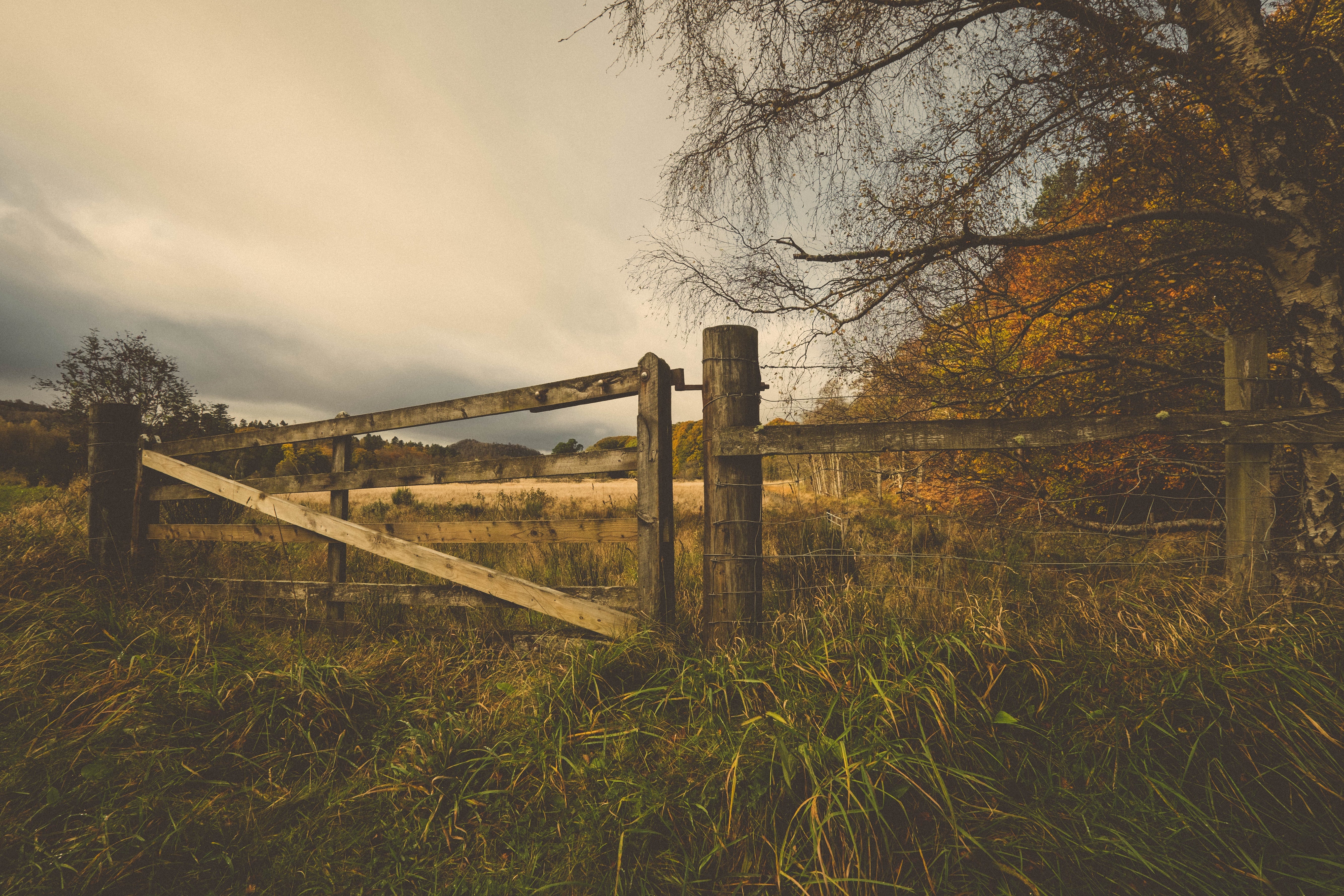The Gate - Notice the Space