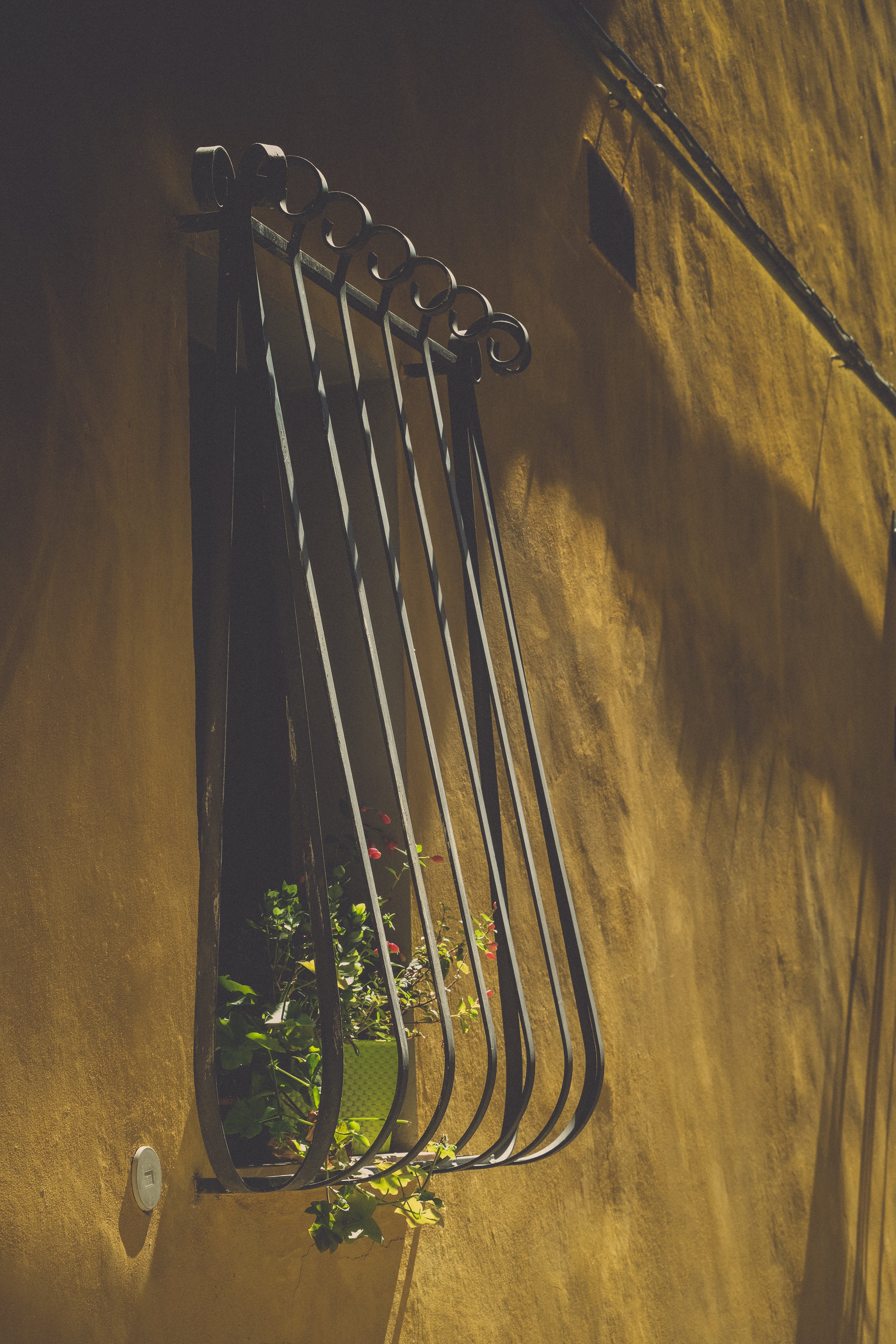 Window Grille in Tuscany - Notice the Space
