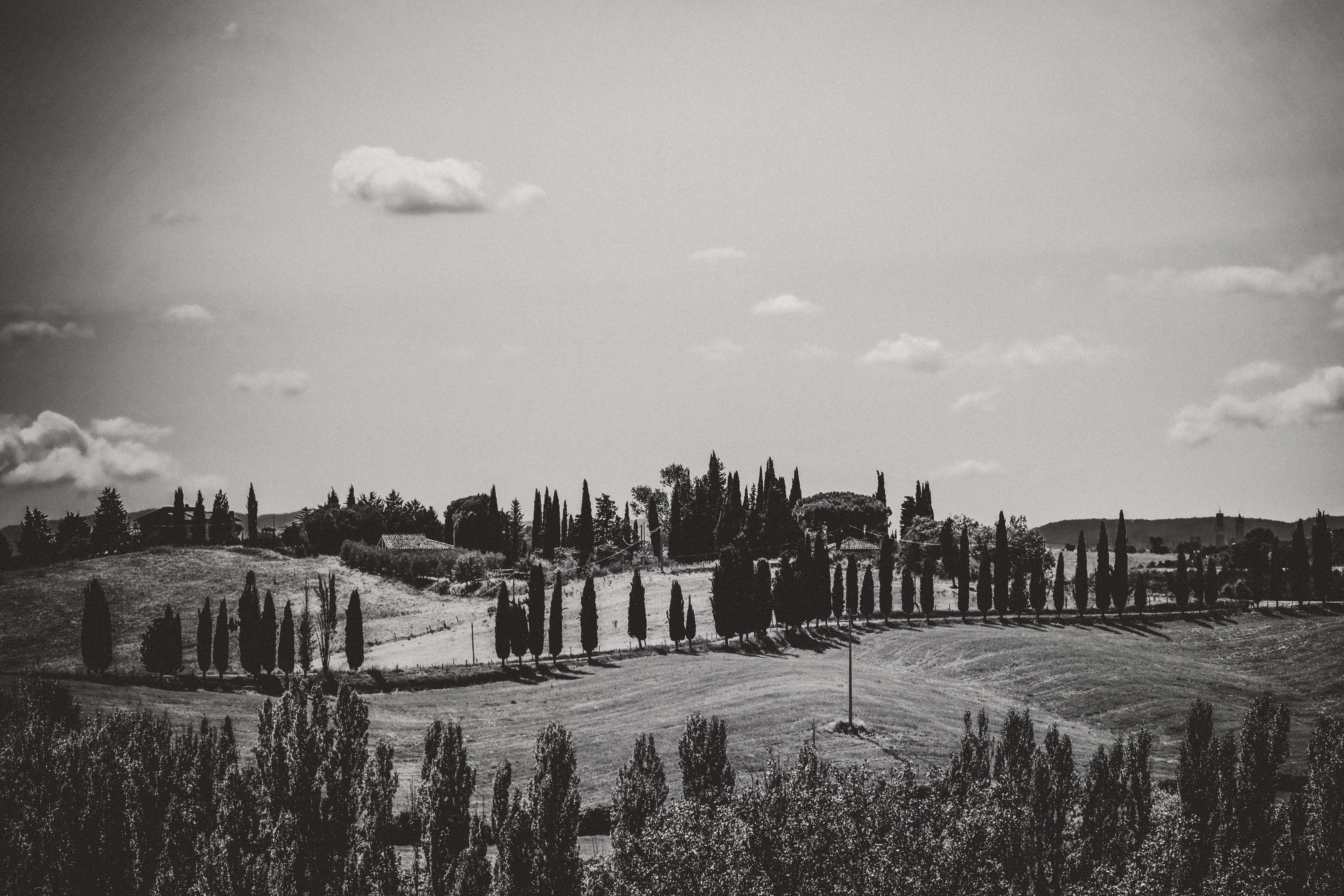 A Tuscan Landscape VII - Notice the Space