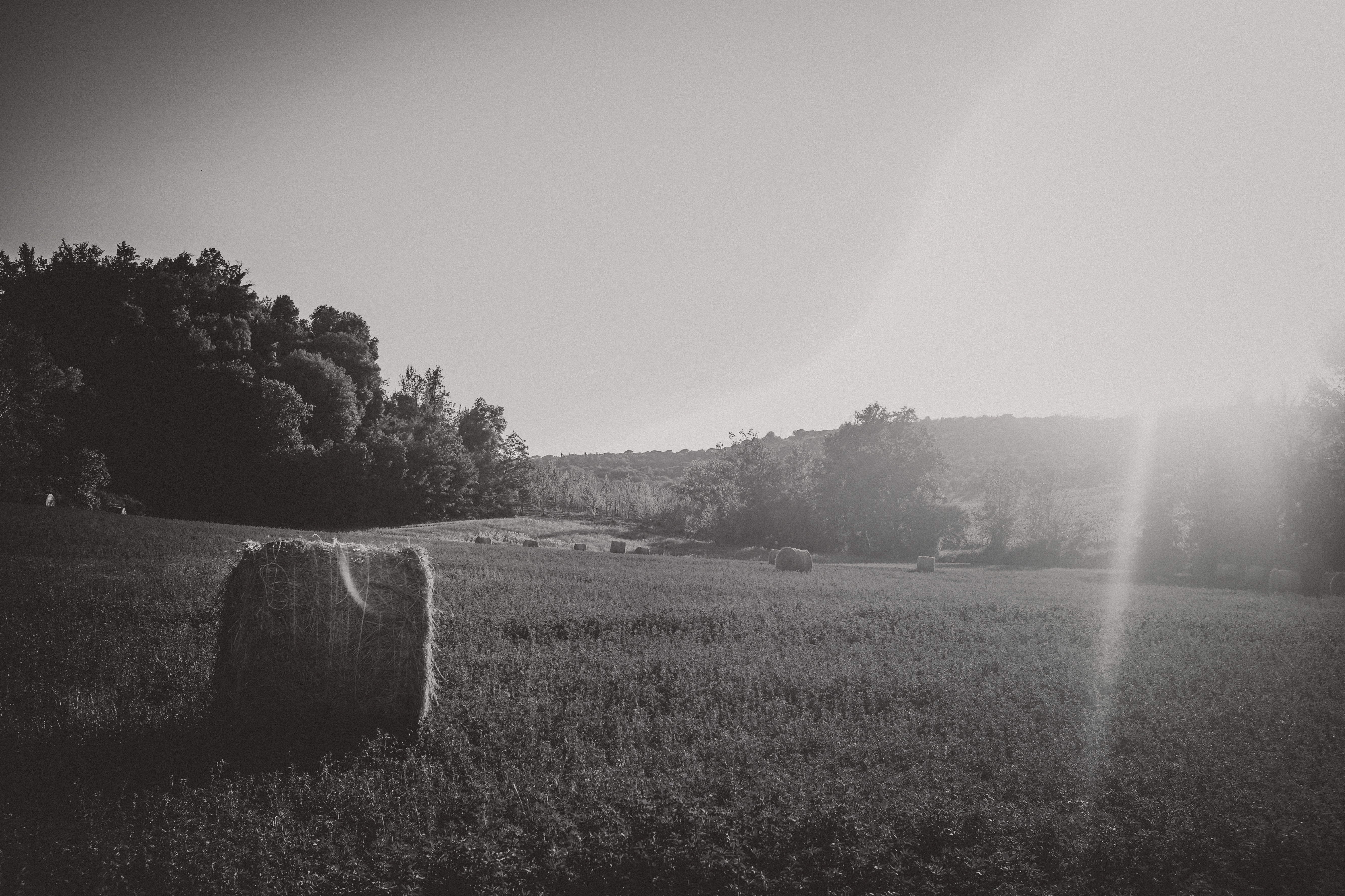 Sunlight on Haybales - Notice the Space