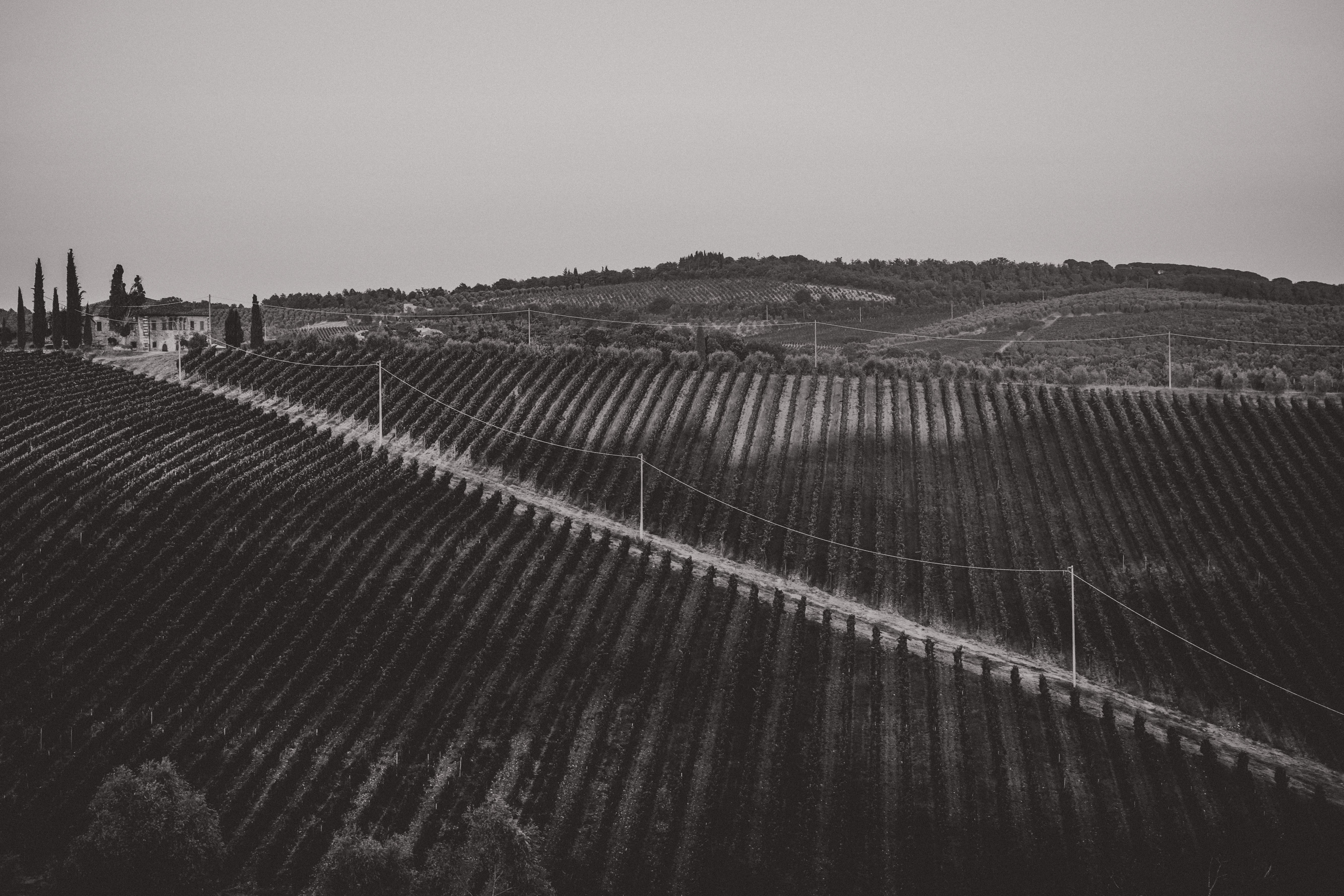 A Tuscan Landscape II - Notice the Space