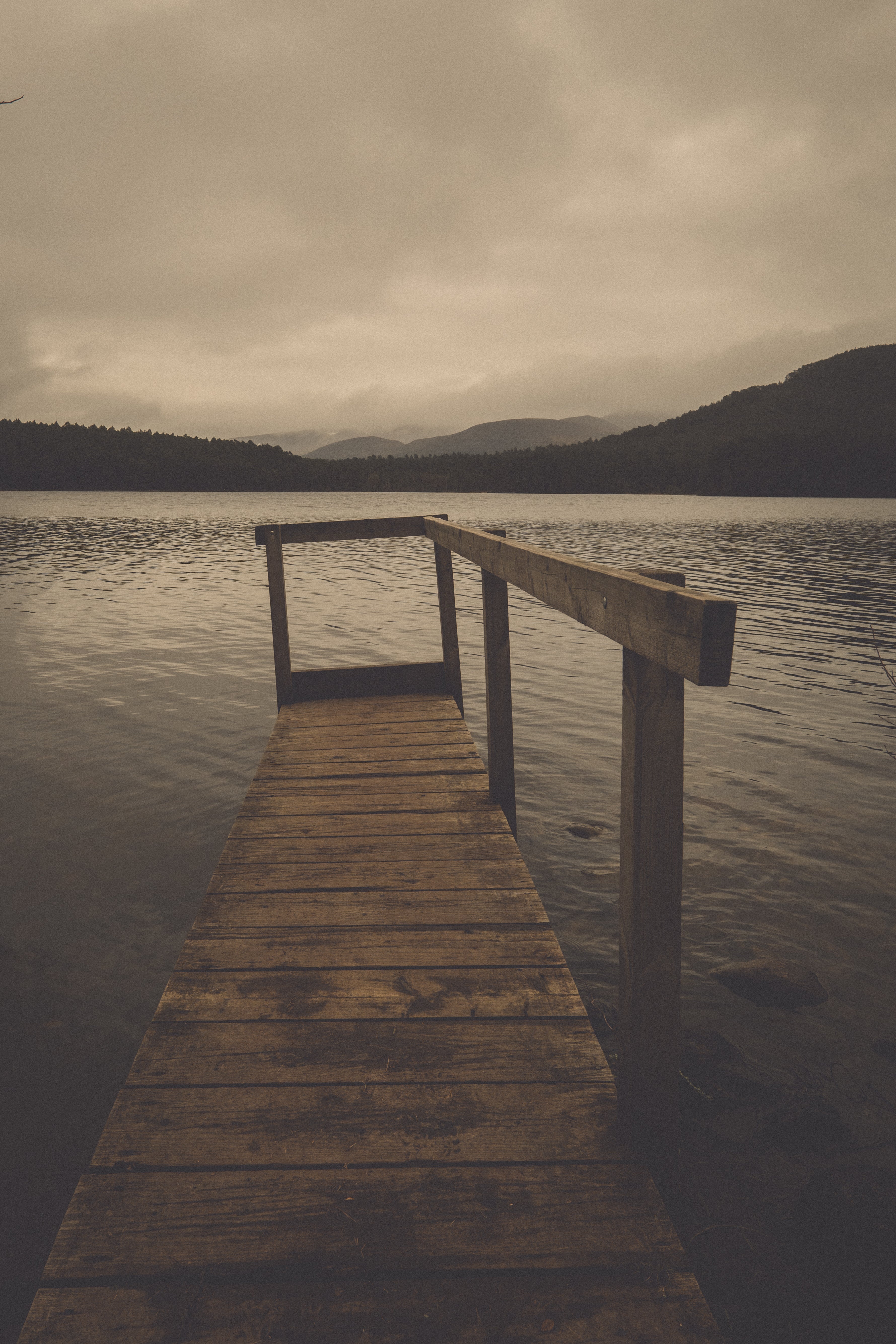 Pier at Rothiemurcus - Notice the Space