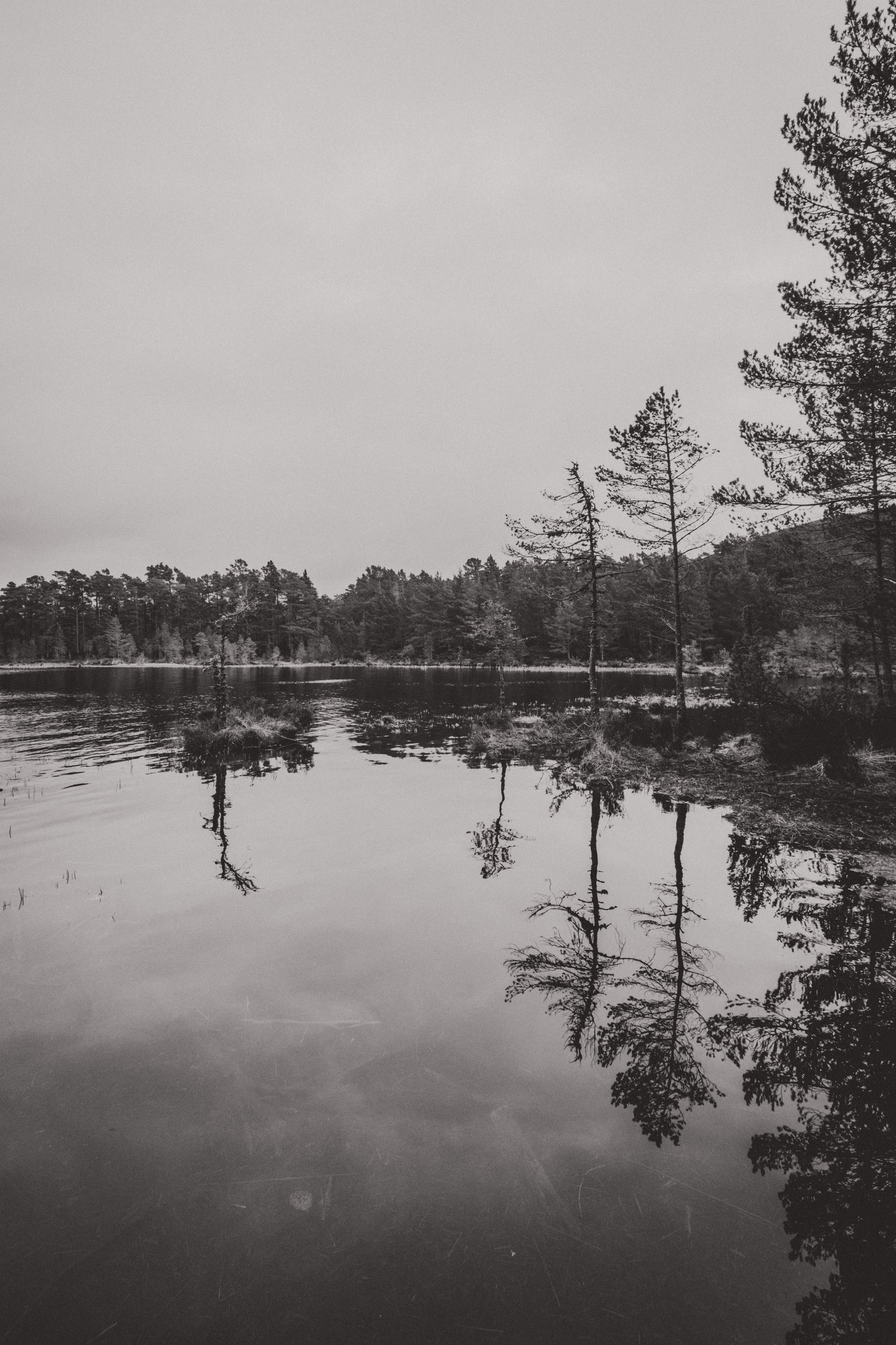 Reflections at Loch an Eilean - Notice the Space